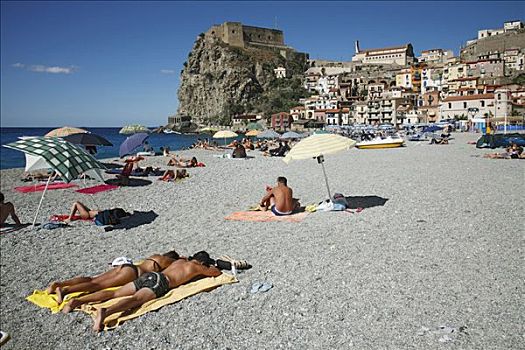 海滩,绵枣儿属植物,意大利