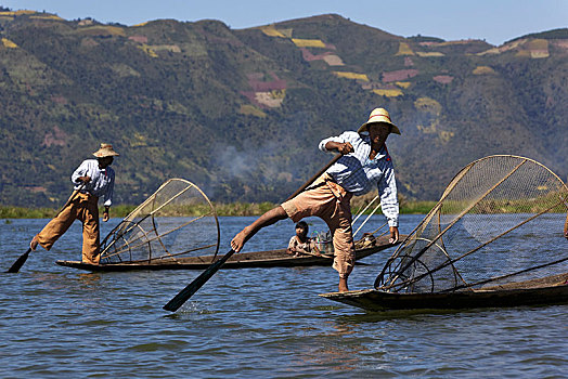 腿,桨手,茵莱湖,掸邦,缅甸,亚洲