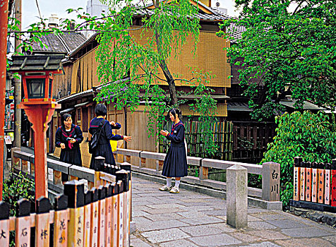 学生,袛园,京都,日本