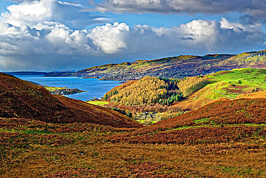 秋天,风景,乡村,山,周围山区,湖,苏格兰高地