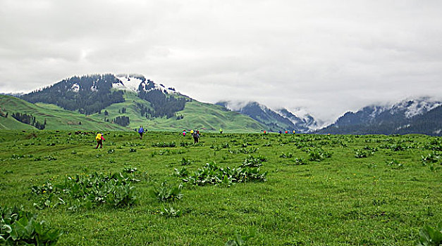 徒步云雾天山