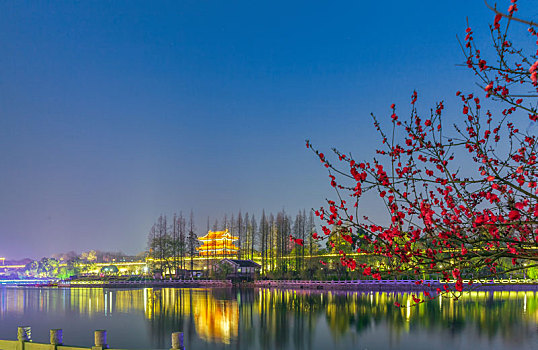 夜色下的古荆州很美丽