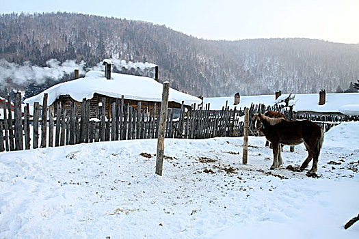 黑龙江雪乡