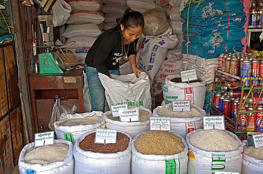 稻米,摊贩,给,不同,品种,站立,收获,省,柬埔寨,亚洲