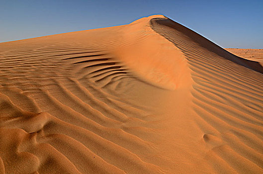 沙丘,瓦希伯沙漠,沙漠,沙尔基亚区,沙,晨光,灰尘,阿曼,亚洲