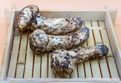 竹筐里新鲜野生菌类山珍松茸食材特写