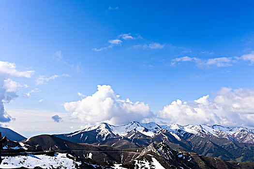 雪山路