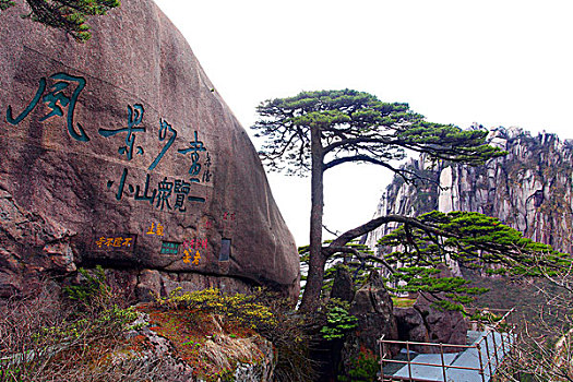 黄山,迎客松,壮观,名胜,风采,0014