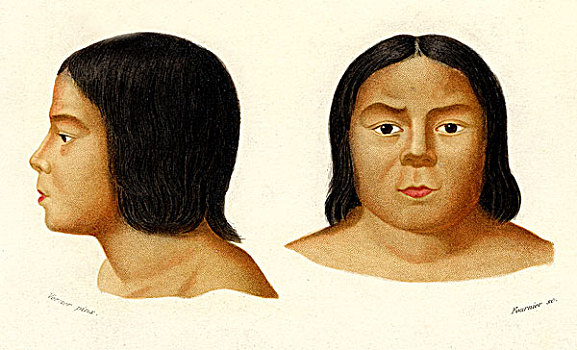年轻,奇佩佤族,多,北方,墨西哥,历史,插画,1875年