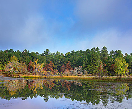 湖,州立公园,阿肯色州