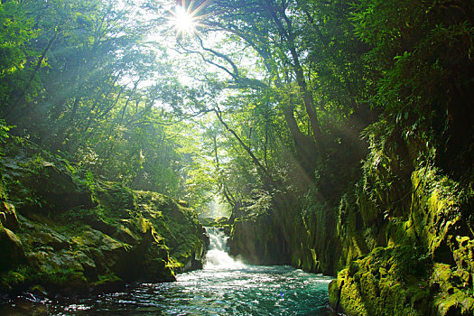 峡谷,熊本,日本