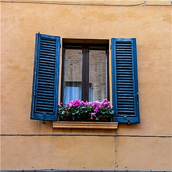 窗户,历史建筑,紫花,窗台