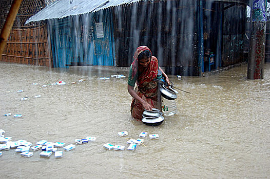 女人,洪水,水,社区,城市,孟加拉,十一月,2007年