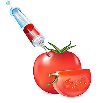 转基因,蔬菜,西红柿,注射器
