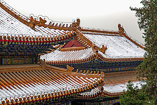 北京颐和园的古建筑屋顶1