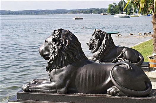 铁,狮子,湖,上巴伐利亚