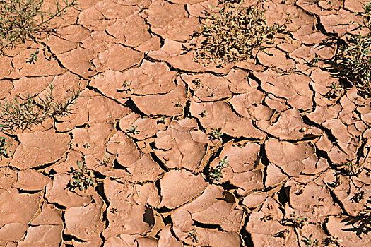 弄干,缝隙,泥,干旱,干枯,陆地,新墨西哥,美国
