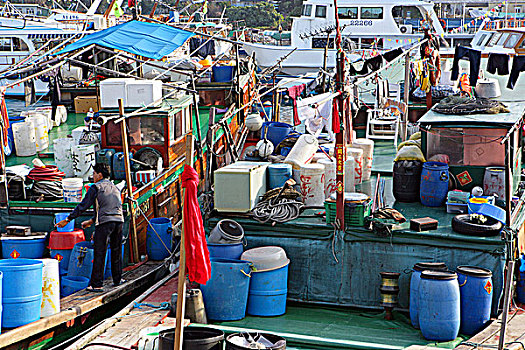 渔船,锚定,码头,香港