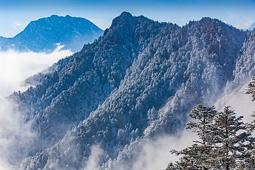 西岭雪山大雪的美丽风景