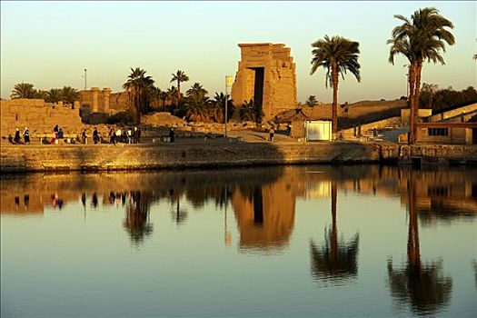路克索神庙,尼罗河,埃及,庙宇,植物,卡尔纳克神庙
