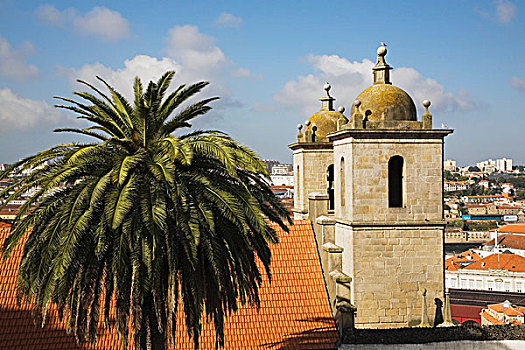 教堂钟,塔,棕榈树,波尔图,葡萄牙
