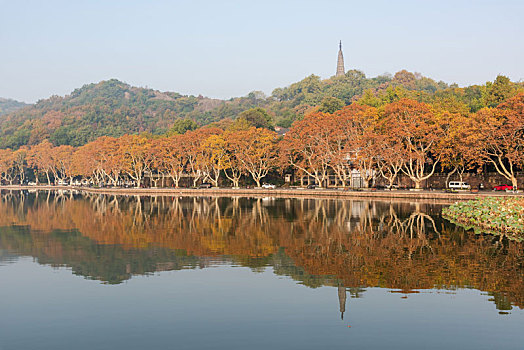 杭州西湖宝石山秋景