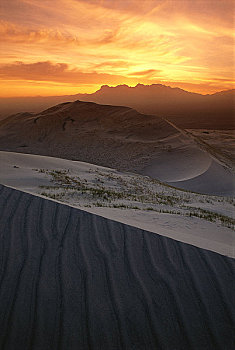沙丘,东方,莫哈韦沙漠,国家,景色,区域,加利福尼亚,美国