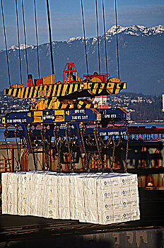 温哥华港,装载,纸制品,不列颠哥伦比亚省,加拿大