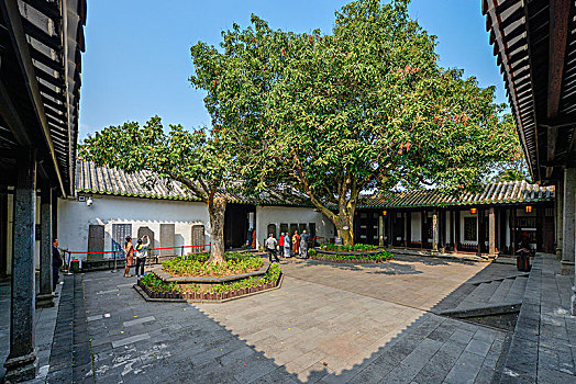 海南儋州东坡书院,芒果树