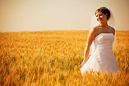 新娘,小麦