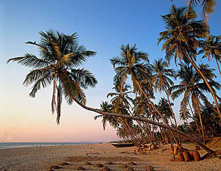 印度,果阿,科尔瓦海滩
