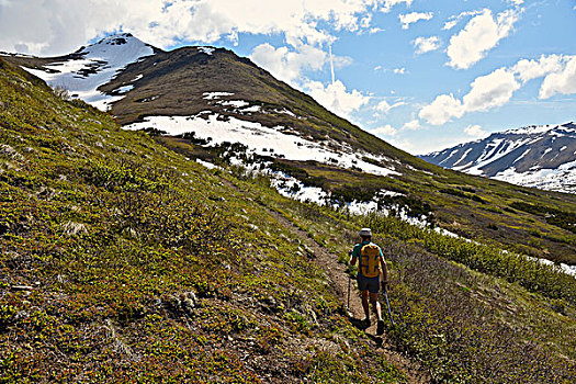 女性,登山,走,上坡,后视图,楚加奇州立公园,安克里奇,阿拉斯加,美国