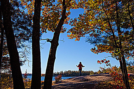 女人,站立,石头,乔治亚湾,公园,安大略省,加拿大