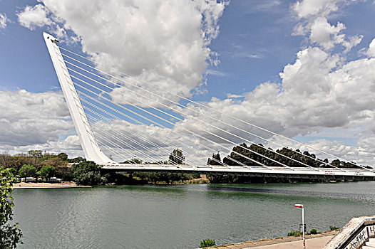 桥,建造,局部,基础设施,改进,塞维利亚,西班牙,欧洲