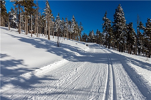 冬天,风景,越野滑雪,道路