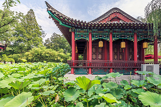 济南大明湖公园雨荷厅园林景观