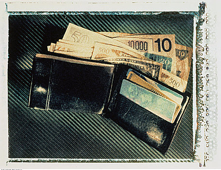 皮夹,国际货币