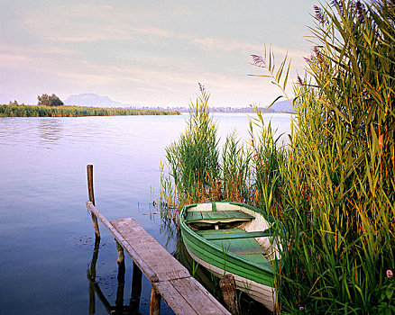 船,湖,巴拉顿湖,匈牙利