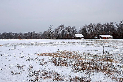 雪地,两个,谷仓,背景,阿肯色州,美国