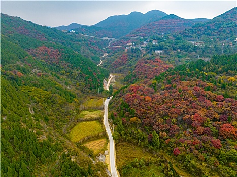 航拍济南历城彩石镇山区的红叶