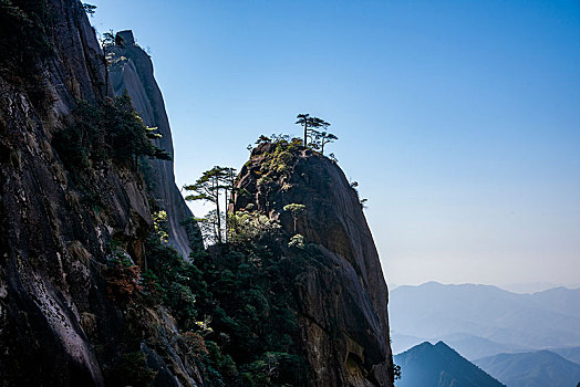 江西上饶三清山南清园,神龙戏松