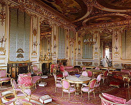 伊丽莎白时代,大厅,城堡,特征,地毯,路易十五,黄金,白色,家具,软垫,丝绸