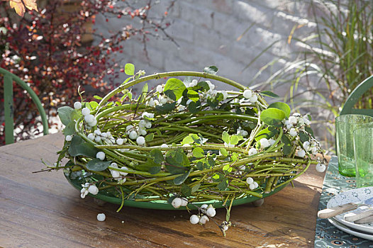 秋季花环,室外,绿色,山茱萸,枝条