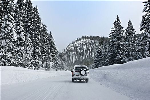 汽车,雪路