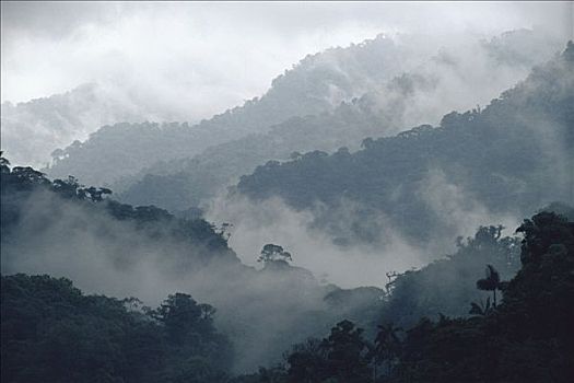 模糊,山谷,蒙特维多云雾森林自然保护区,哥斯达黎加