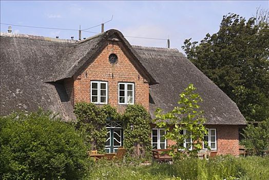 特色,茅草屋顶,屋顶,房子,凯图姆,德国