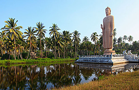斯里兰卡,海啸,纪念,佛像