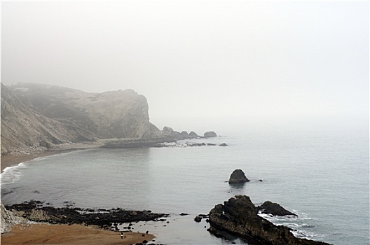沿岸,雾