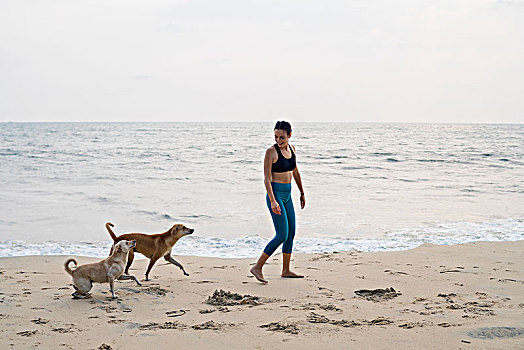 女人,狗,海滩