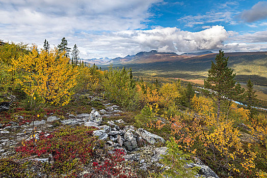 风景,山,国家公园,秋天,植被,北博滕省,拉普兰,瑞典,欧洲